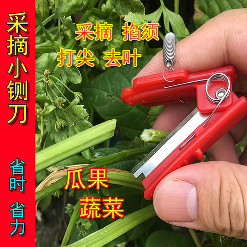 拇指采摘刀打叶摘菜工具采摘铡刀