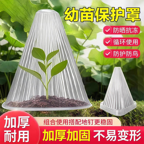 植物育苗防虫防鸟保护罩