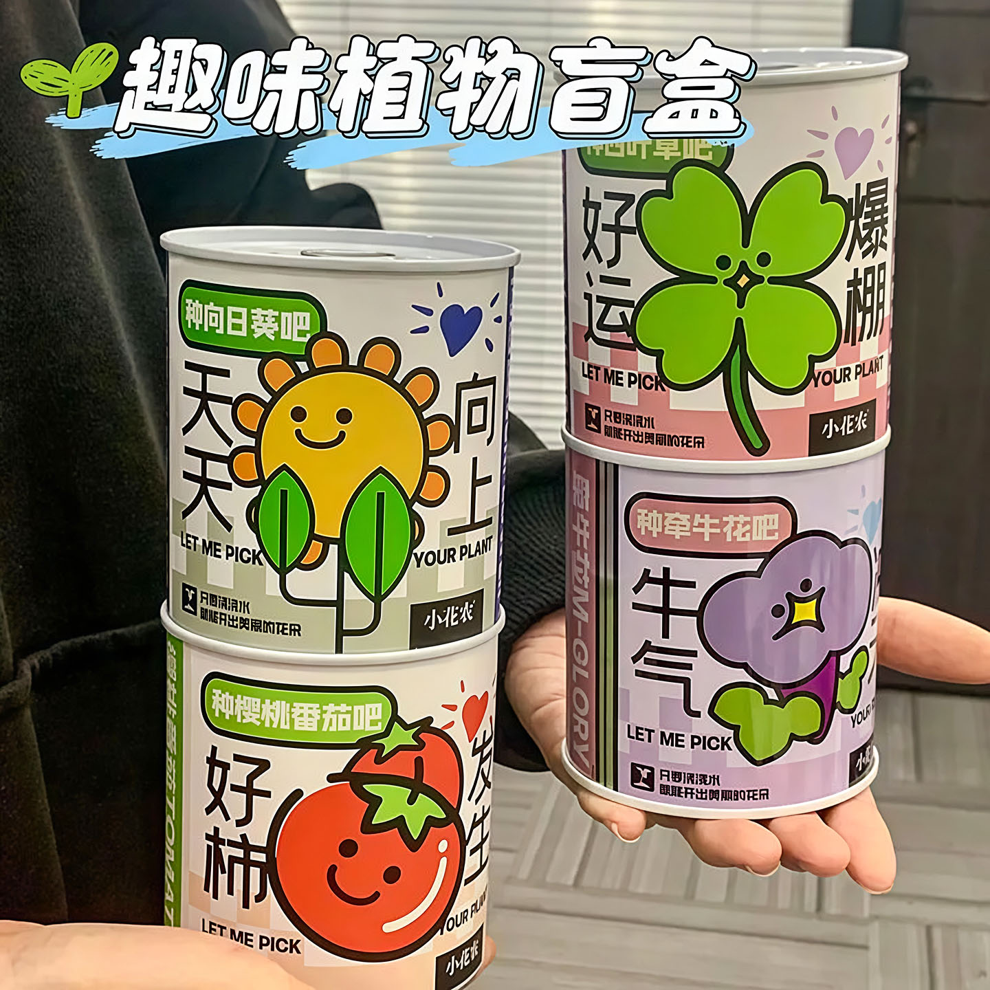 情绪稳定小盆栽种植罐头办公室