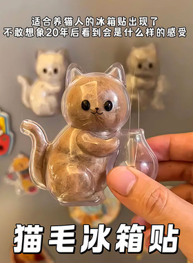 猫毛胡须收集猫冰箱贴