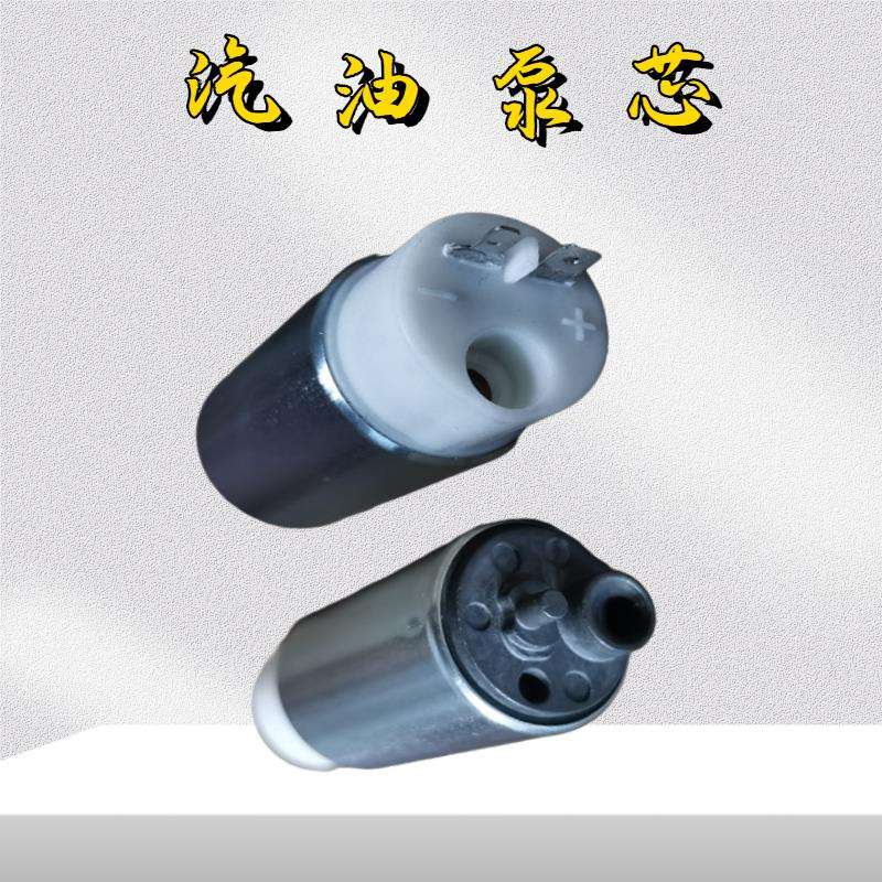 隆鑫摩托车配件300RR/AC/GS-B汽油泵芯无极300-6A/6C/6F燃油泵芯