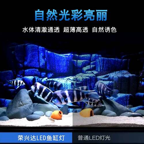 鱼缸节能灯led专用照明灯乌龟造景防水灯水草灯中小型水族箱架灯
