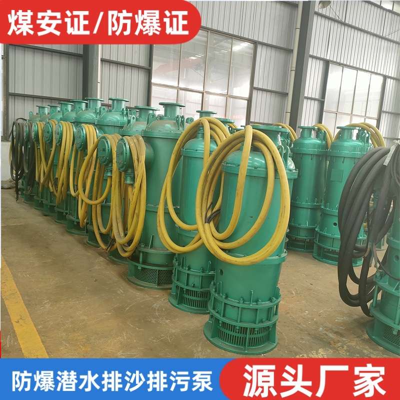 厂家直供bqs矿用隔爆型潜水排沙泵 BQS190-180/3-160KW防爆污水泵