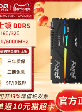 金士顿野兽 5600/6000 16GB/32GB DDR5台式机超频RGB EXPO内存条