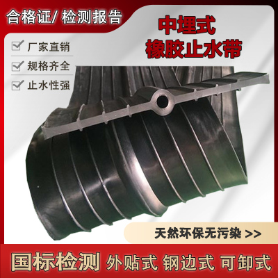 中埋式橡胶止水带651型止水带外贴式可卸式钢边式遇水Z蓬胀止水带