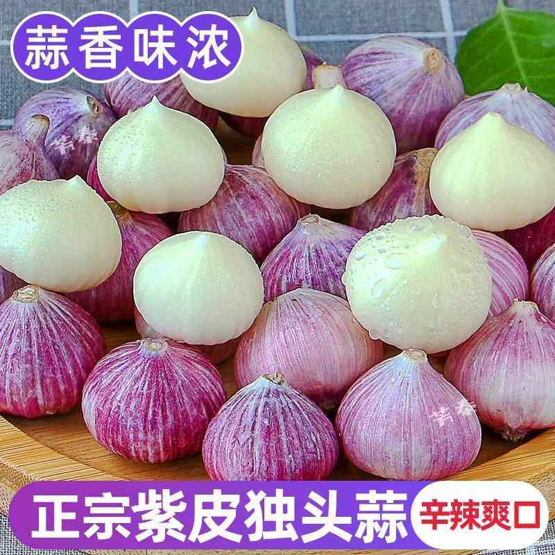 【大降价】独头大蒜正宗紫皮大蒜价新鲜红皮大蒜蔬菜种子,鲜花速递/花卉仿真/绿植园艺,红掌/凤梨/温室花卉,淘宝优惠券,粉丝福利购,淘宝优惠卷