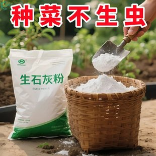 生石灰粉杀虫种菜杀菌消毒剂干燥剂改善水质改良土壤冬季树木涂白