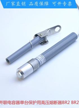 并联电容器单台保护高压熔断器BRW3BR2BR2W-15A20A25A30A50A100A