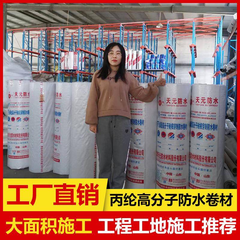聚乙烯丙纶复合防水卷材室内用400克国标丙纶布涤纶抗裂