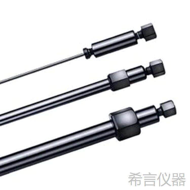 302694赛默飞thermofisher戴安离子色谱柱C18PEEK保护柱