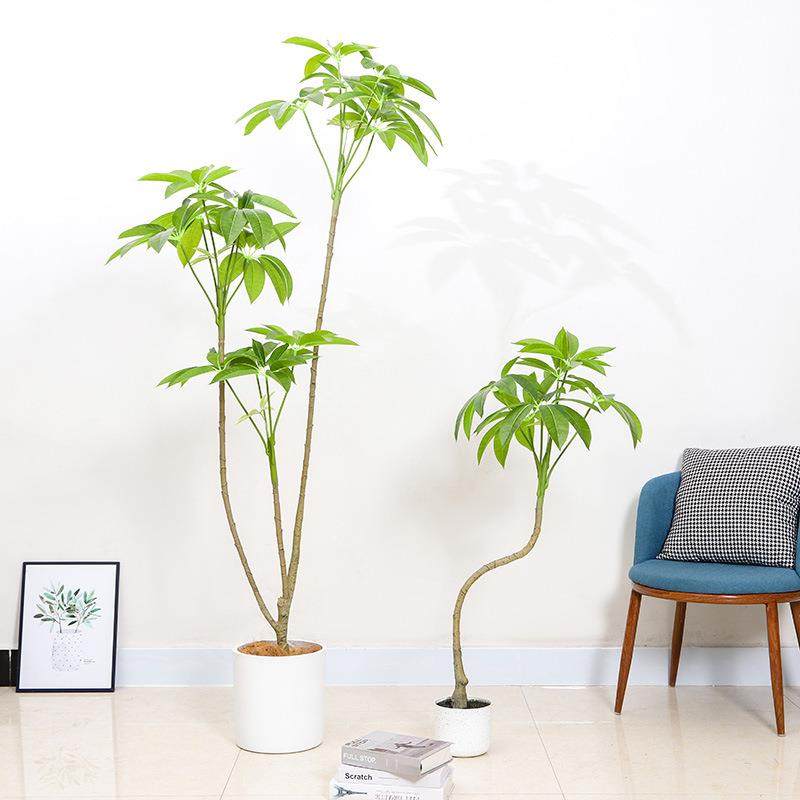 北欧仿真发财树大伞形绿植盆栽高端轻奢装饰室内客厅大型落地摆件,纺织面料/辅料/配套,纺织机械配件,淘宝优惠券,粉丝福利购,淘宝优惠卷
