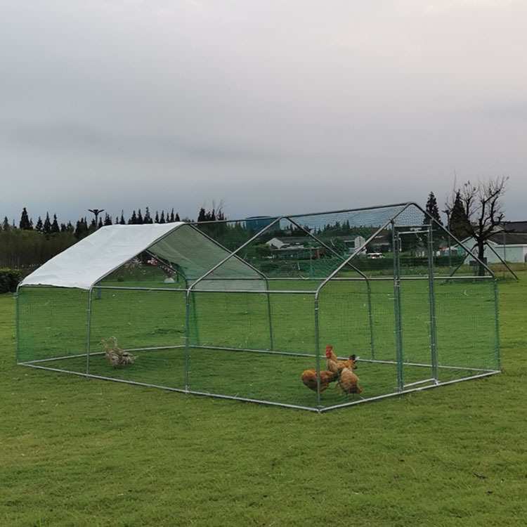 鸡笼子鸡棚家用养殖笼鸽笼大号特大孔雀养鸡笼子防老鼠蛇搭建户外
