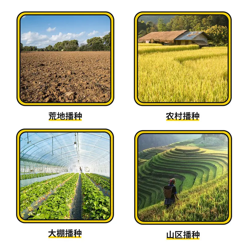 手动播种家用大豆子园林草坪种播撒器大棚播种工具