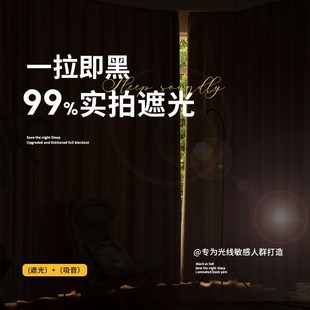 轻奢现代简约客厅保暖防风隔音遮阳布隔 窗帘卧室全遮g光2024新款