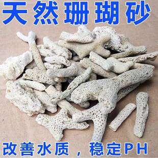 稳定PH水质鱼缸珊瑚石珊瑚骨大块条形锦鲤池鱼池珊瑚砂底滤材材料