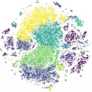 NCBI blast多序列比对服务