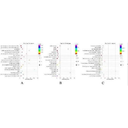 中药复方网络药理学联合分子对接套路视频教程/生信自学网/多中药