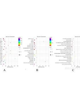 ChIPseq峰值分析服务