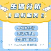 seq与bulk RNA seq联合分析 scRNA 相互验证 深入探索机制