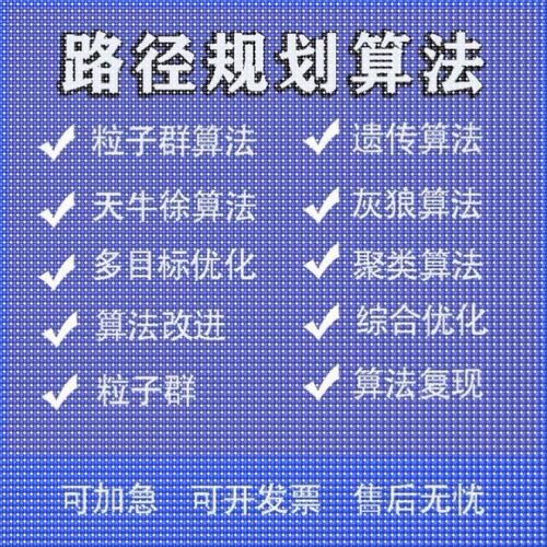 matlab路径规划遗传蚁群粒子群算法代做Python强化学习多目标优化