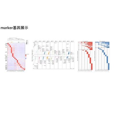 01-16代码，单细胞高级绘图 所有图片来自公众号【TOP生物信息】
