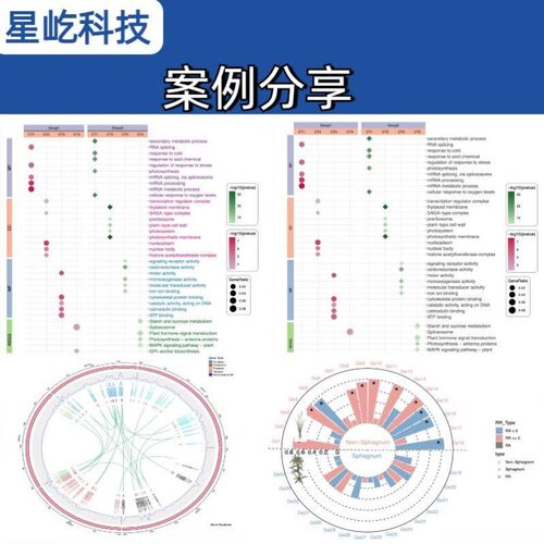 生信分析服务TCGA GEO数据挖掘转录组测序单基因多组学联合分析