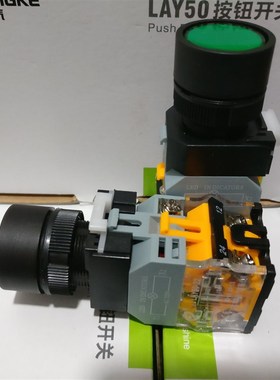 双科电气 带灯型复位按钮开关 LAY5022C11D LED灯源