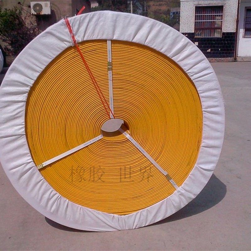 全白布 平胶带  橡胶平皮带 帆布带 传动带 输送带宽度100层数4/5,农用物资,苗木固定器/支撑器,淘宝优惠券,粉丝福利购,淘宝优惠卷