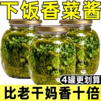 2026新货】新鲜香菜酱拌面拌饭神器素食开胃下饭其他食品调味酱料