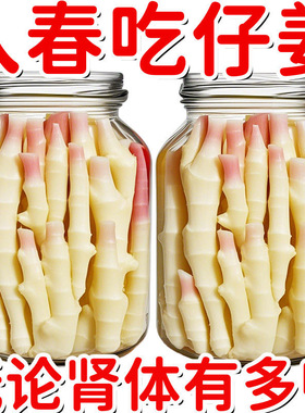 批发价】泡嫩姜泡仔姜泡姜正宗老坛特产泡菜酸辣泡姜下饭酸菜