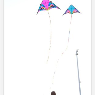 潍坊风筝 高档伞布妖姬风筝 巨型大型成人大三角风筝好飞易飞包邮