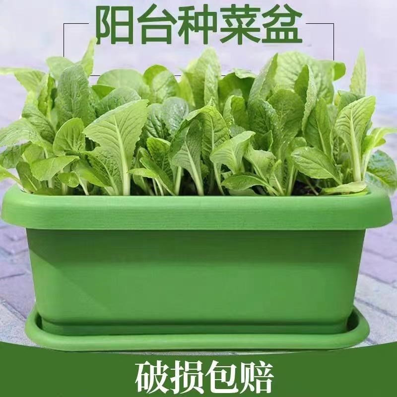 蔬菜种植盆 超大加厚 室内阳台种菜盆 小号大号种植 四季盆栽种植