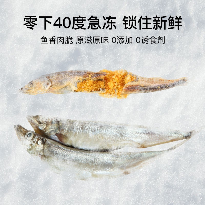 多春鱼冻干狗零食小鱼干营养增肥发腮补钙满籽猫咪零食幼猫粮伴侣