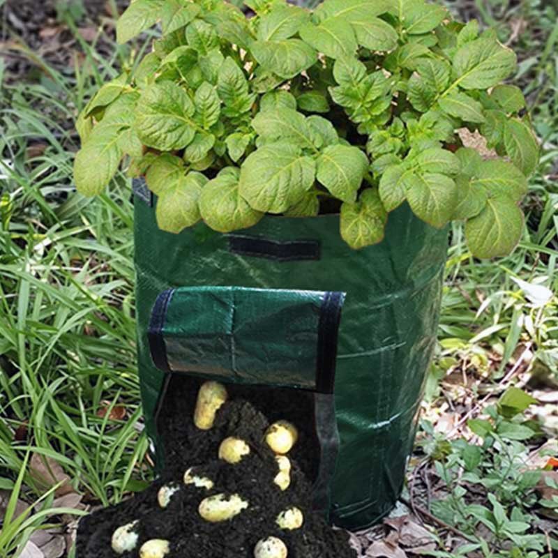 PE土豆种植袋番薯种植盆花生种植箱营养袋植物袋种植桶阳台种菜,鲜花速递/花卉仿真/绿植园艺,花盆,淘宝优惠券,粉丝福利购,淘宝优惠卷