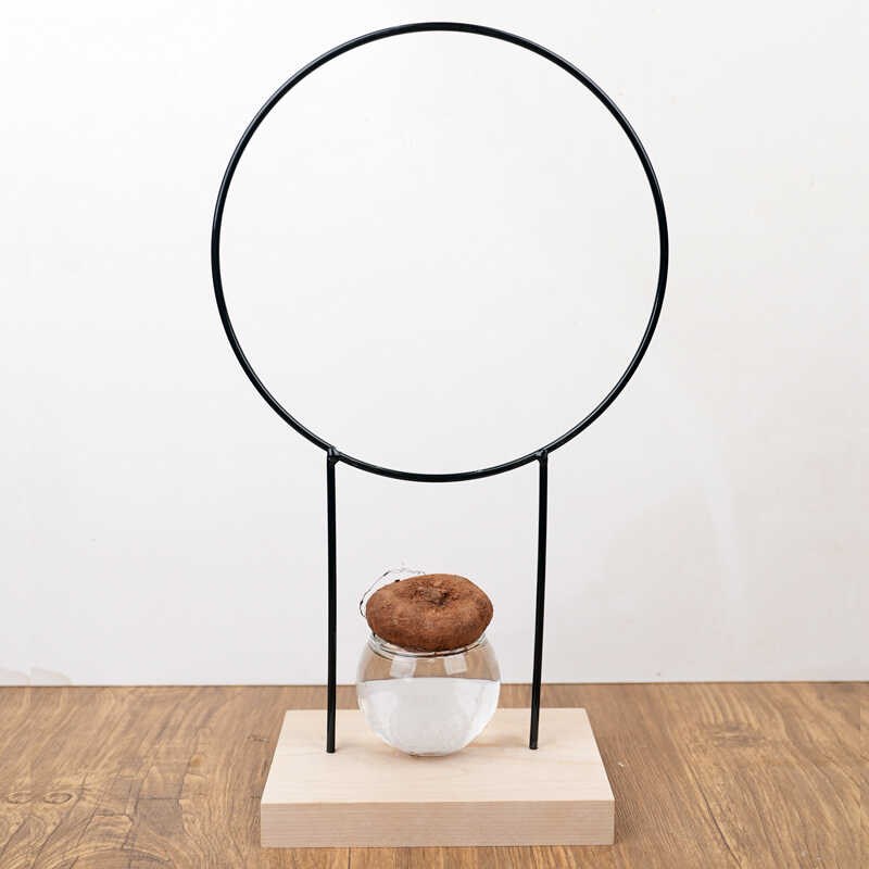 铁艺水培植物爬藤架底座圆形铁艺爬藤支架黑色创意桌面爬藤架子