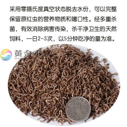 寸金赤虫干赤虾干天然冷冻饲料红虫中小型热带鱼金鱼孔雀斗鱼粮