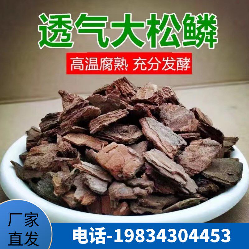 江苏高宅兰花土专用透气营养土铁皮石斛种蝴蝶君子兰松树皮植料土