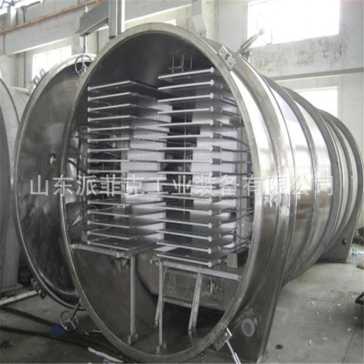新型100平米苹果冻干机果蔬脆片低温真空冷冻干燥机