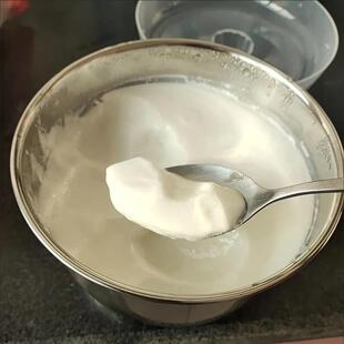 菌丝生活 益生菌30g一盒 酸奶发酵剂10g一袋 好酸奶是不酸的