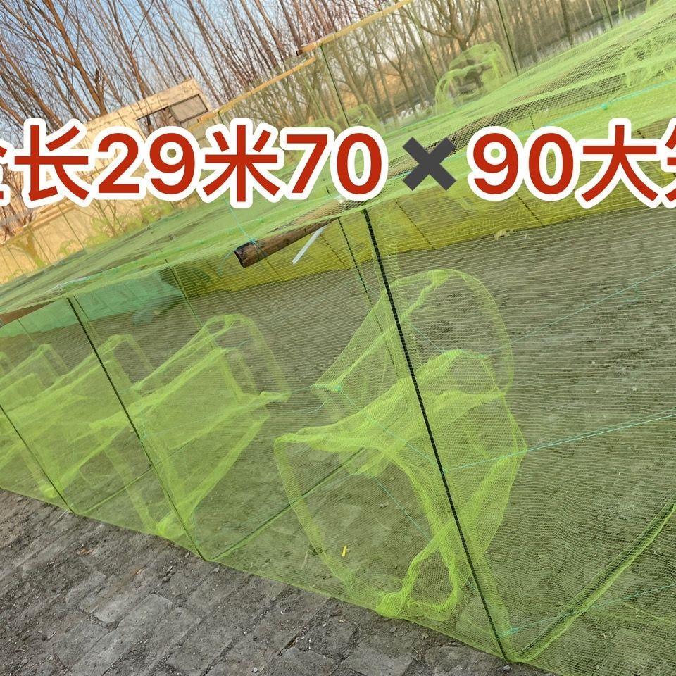 白洋淀70纱窗29翅膀笼网捕鱼鱼笼虾笼螃蟹泥鳅地鱼龙虾沉底黄鳝