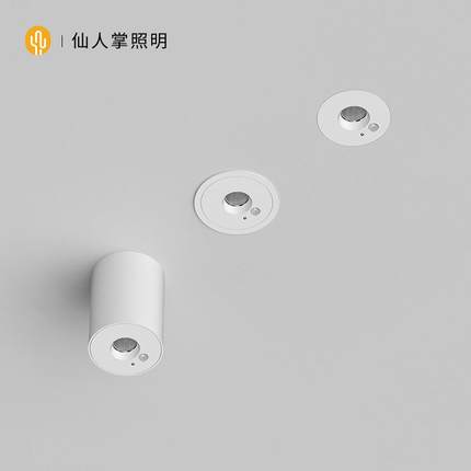 仙人掌照明艾德蒙人体感应led全光谱射灯明装筒灯过道玄关楼梯