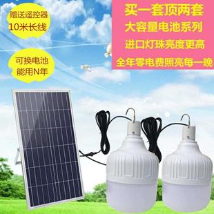 一拖二新农村挂钩庭院灯家用客厅室内室外灯泡照明灯 太阳能led灯