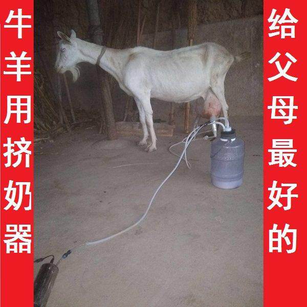 羊奶挤奶器电动羊用吸奶器吸羊奶的挤奶器电动牛羊家用小型挤奶器