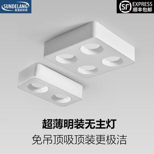 斗胆灯四头超薄智能双头客厅卧室吸顶筒灯防眩光无主灯 全光谱明装