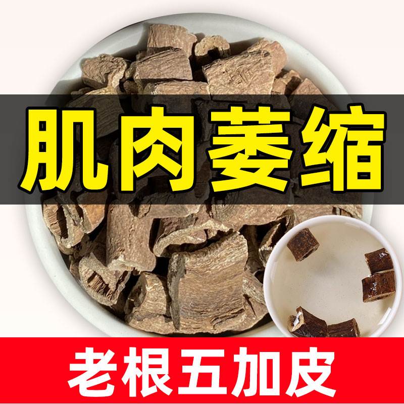 五加皮的功效中药材正品官方旗舰店新鲜香料非野生南五加皮可泡酒
