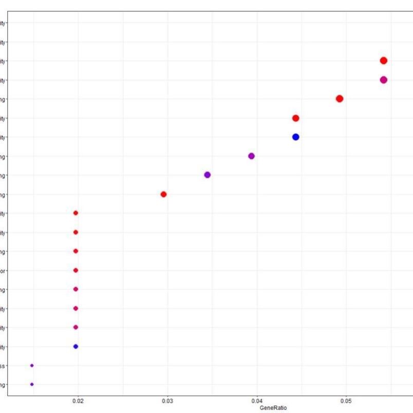 生信分析服务TCGA GEO数据挖掘转录组测序单基因多组学联合分析