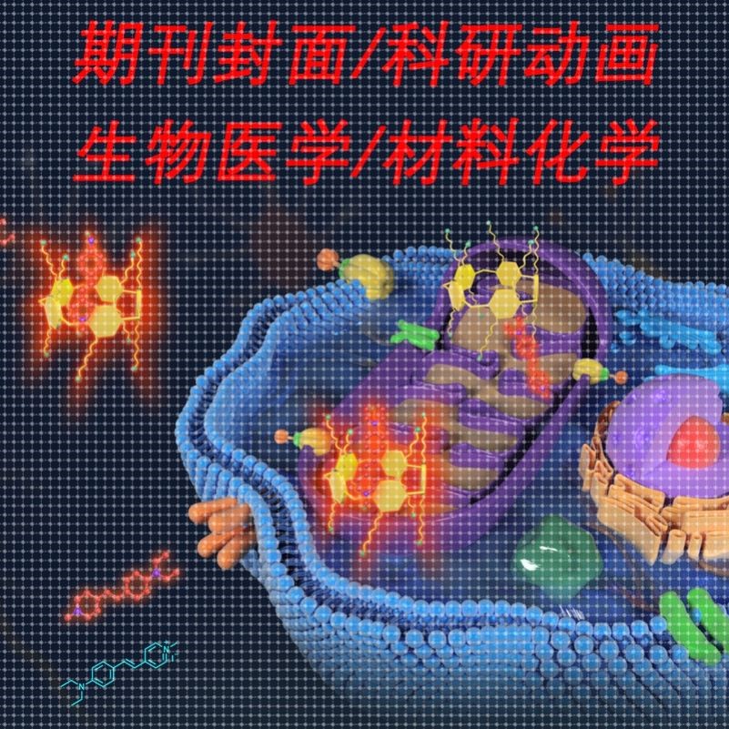 科研绘图SCI期刊封面图设计医学插画示意图摘要TOC机制信号通路图