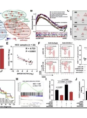 一对一辅导/系统学单细胞测序/chipseq/RNAseq/Atacseq/R语言培训