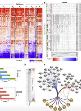 生信做图转录组学蛋白质组学代谢组学测序数据分析RNA-seq