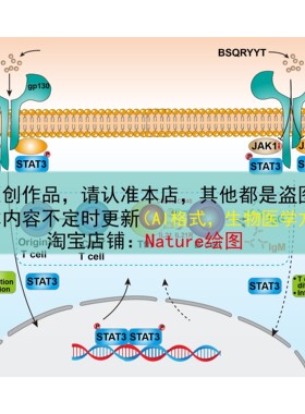 SCI科研绘图素材AI素材生物医学代画学习素材医学绘图AI模板